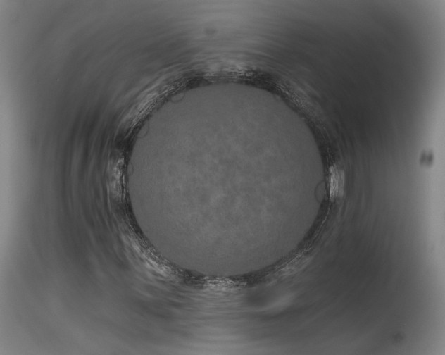 X0000115651059200911101534