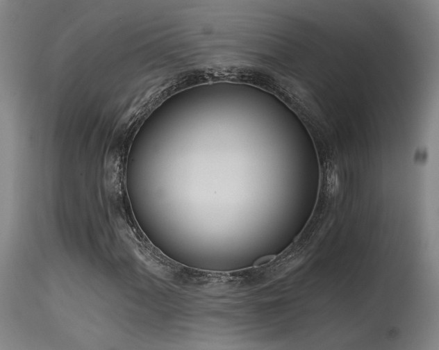 X0000115651060200911101534
