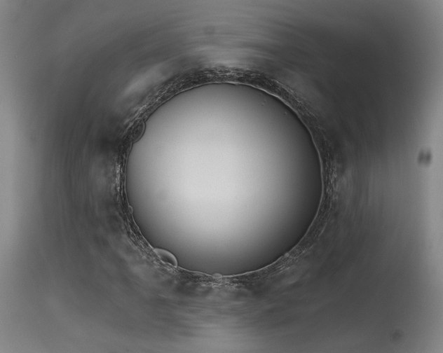 X0000115651061200911101534