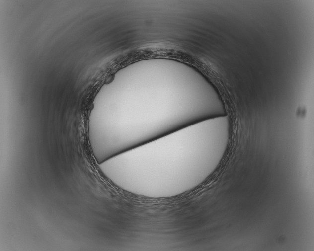 X0000115651062200911101534