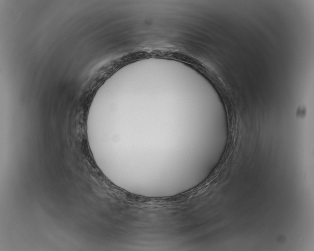 X0000115651063200911101534