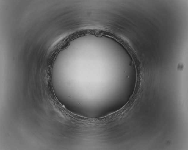 X0000115651064200911101534