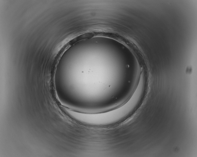 X0000115651065200911101534