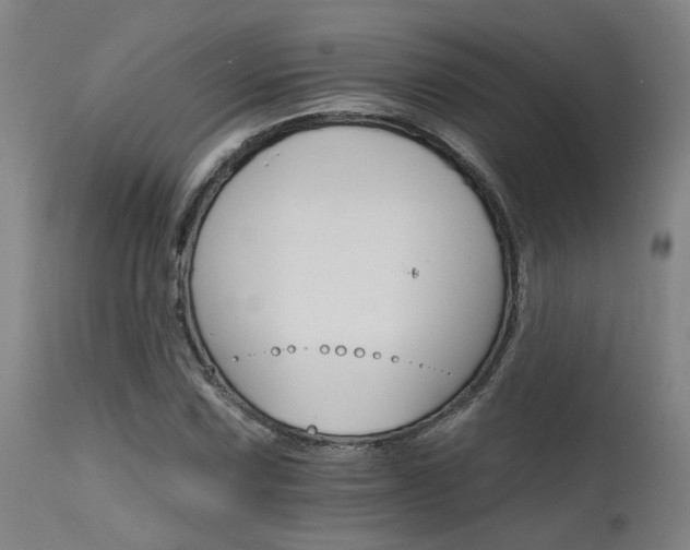 X0000115651067200911101534
