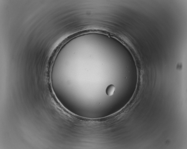 X0000115651068200911101534