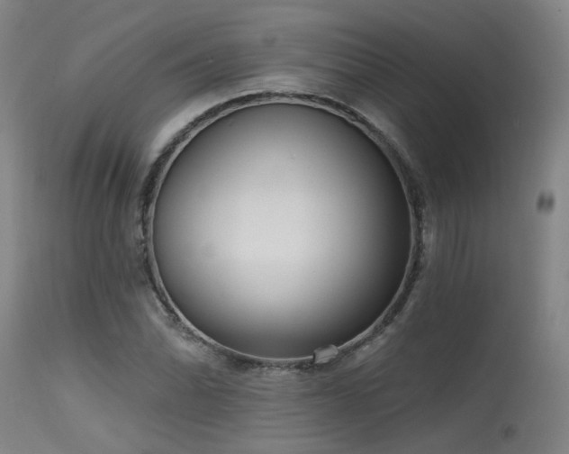 X0000115651070200911101534