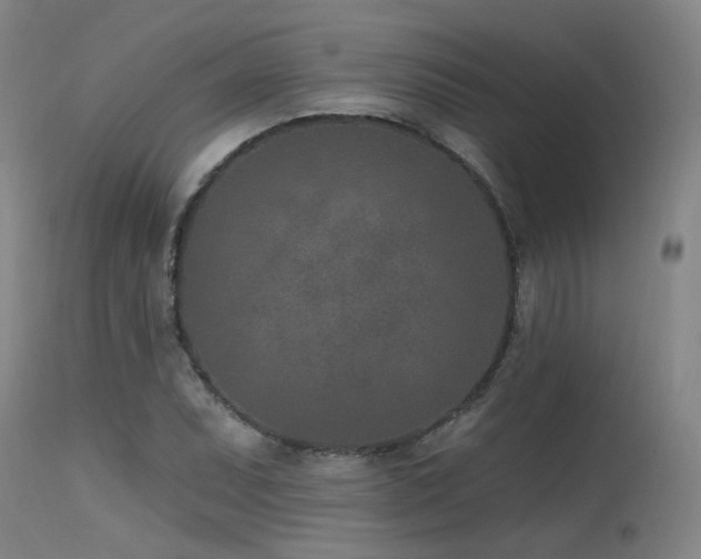 X0000115651071200911101534