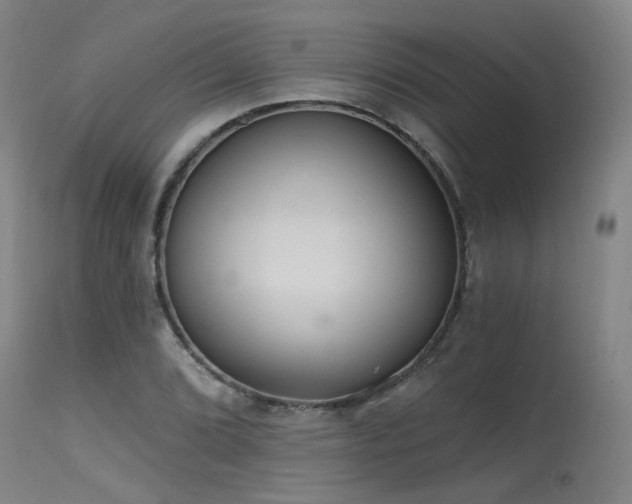 X0000115651072200911101534