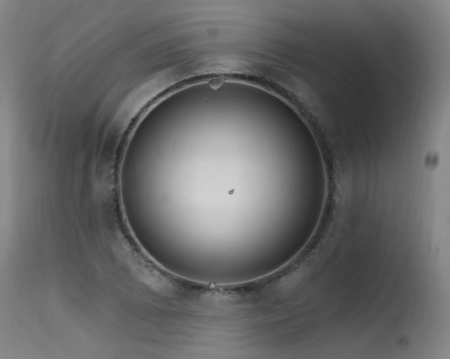 X0000115651073200911101534