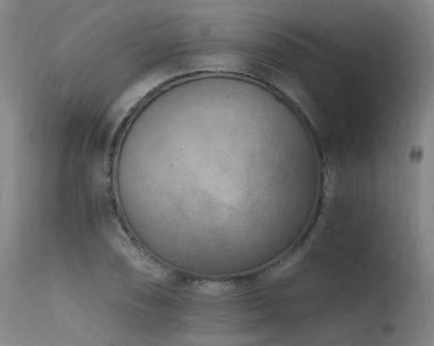 X0000115651074200911101534