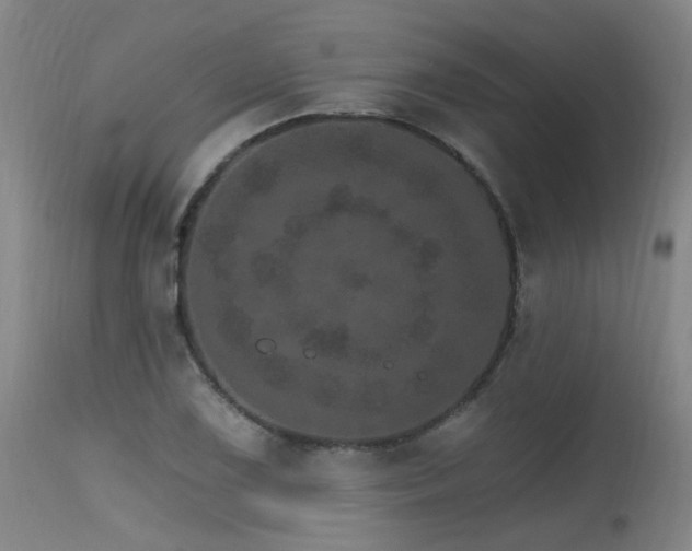 X0000115651075200911101534