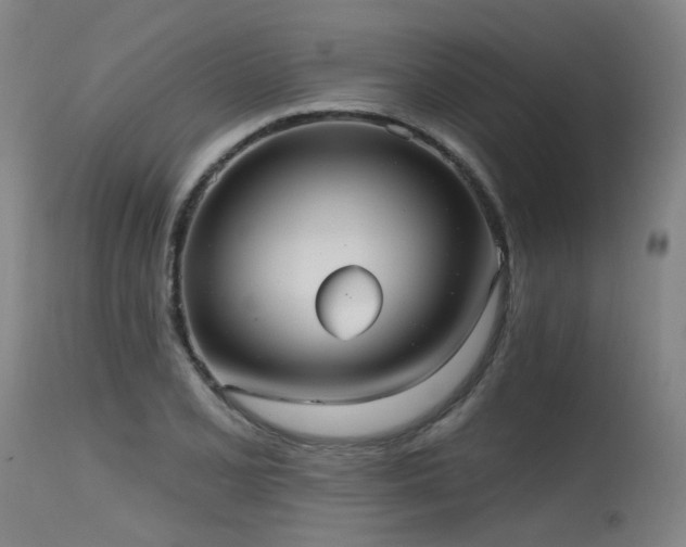X0000115651077200911101534