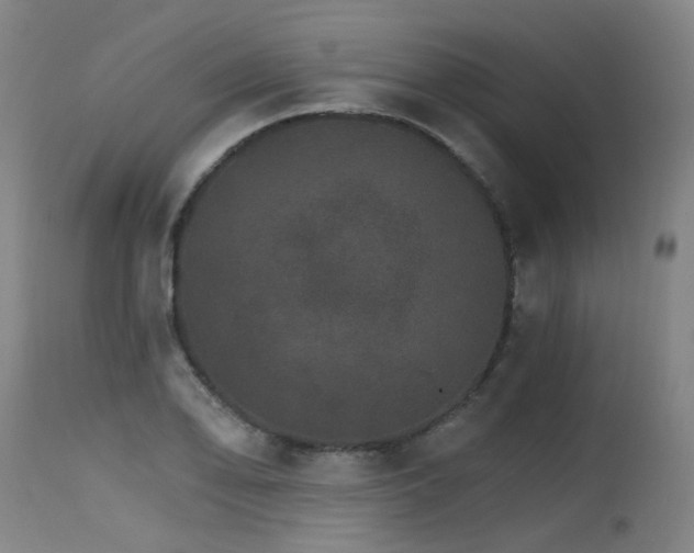 X0000115651078200911101534