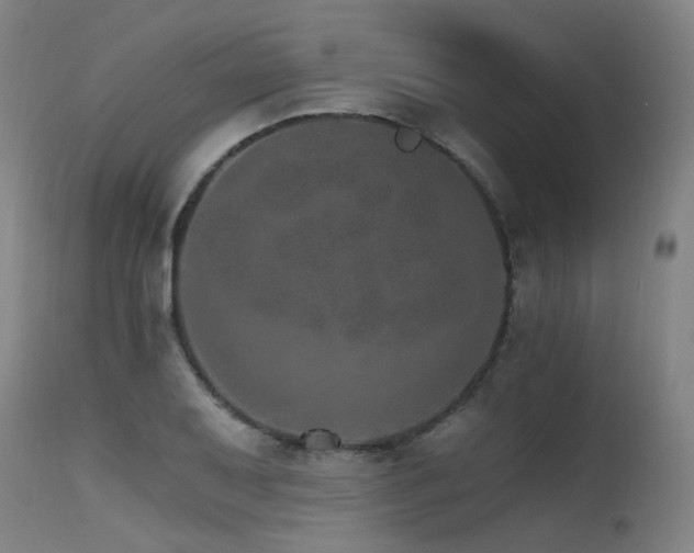 X0000115651079200911101534