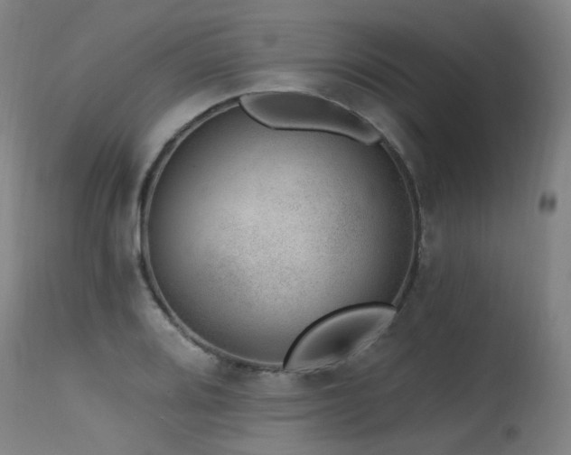 X0000115651080200911101534