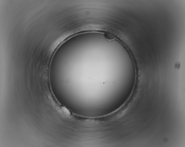 X0000115651081200911101534