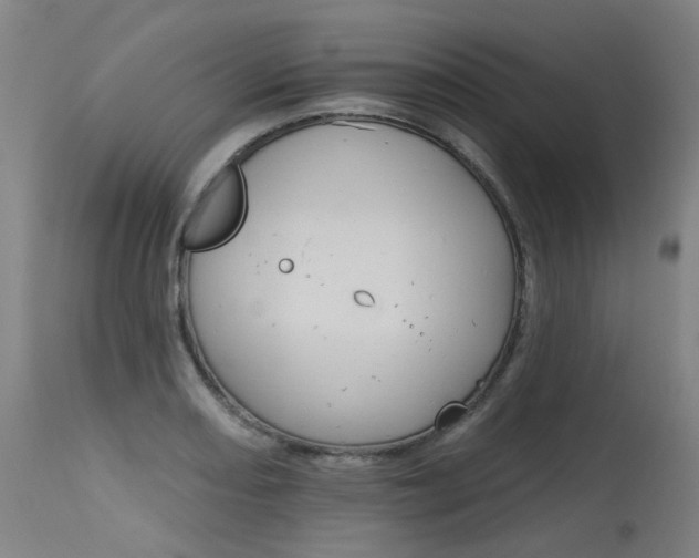 X0000115651082200911101534