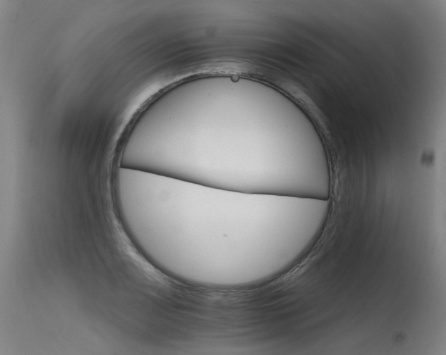 X0000115651083200911101534