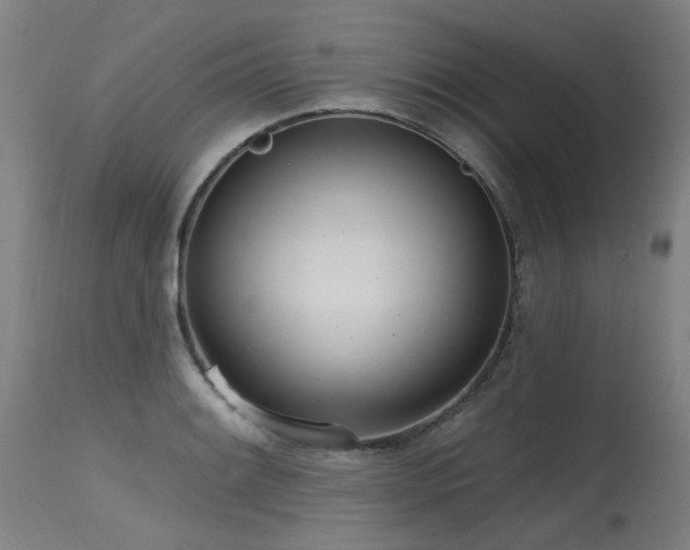 X0000115651084200911101534