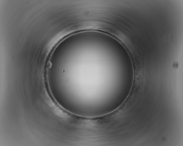 X0000115651086200911101534