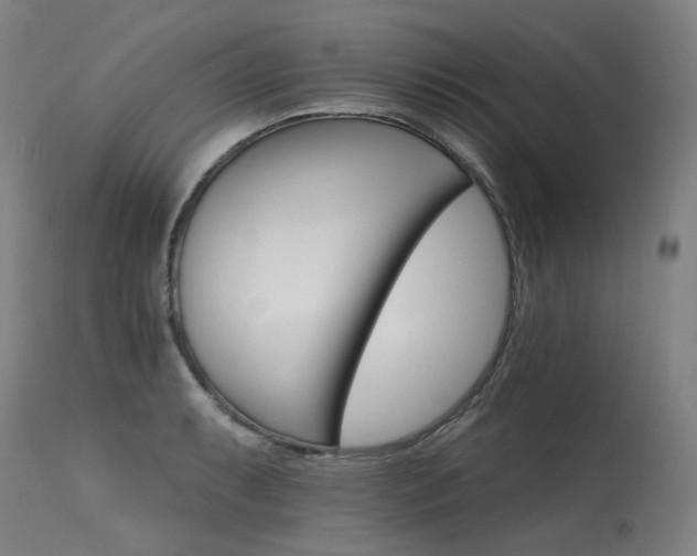 X0000115651087200911101534