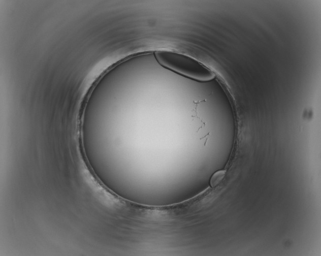 X0000115651088200911101534