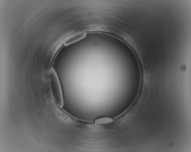 X0000115651089200911101534