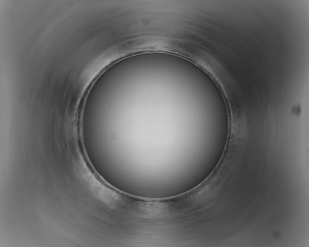 X0000115651090200911101534