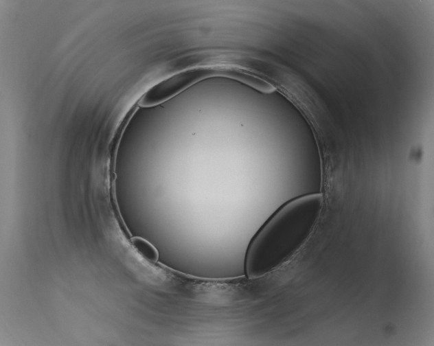 X0000115651092200911101534