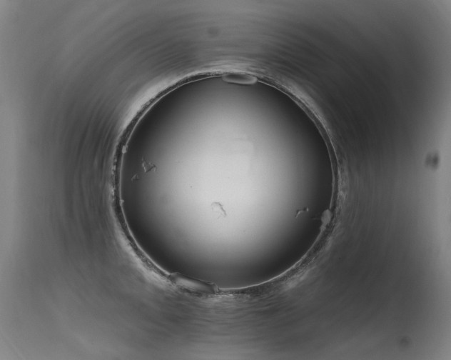 X0000115651093200911101534