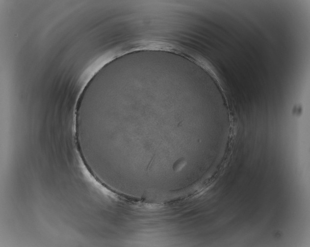 X0000115651095200911101534