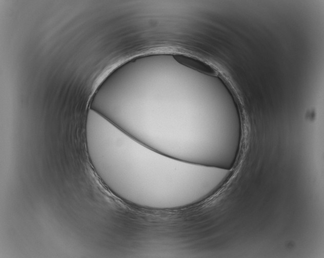 X0000115651097200911101534