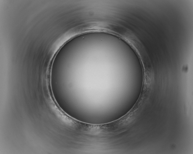 X0000115651098200911101534