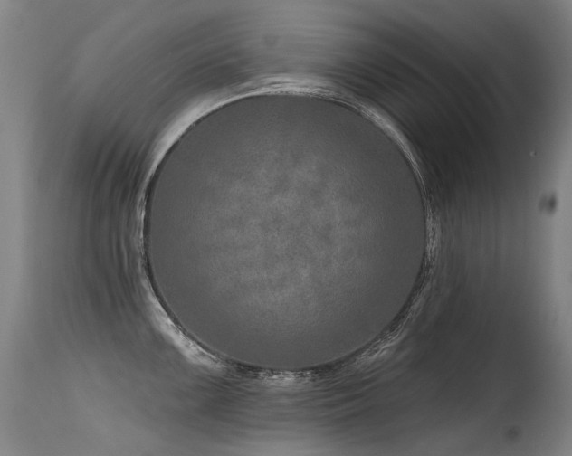 X0000115651099200911101534