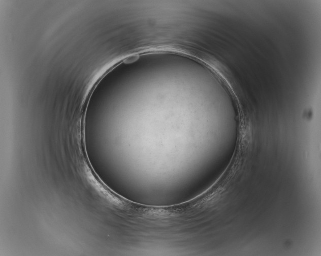 X0000115651100200911101534