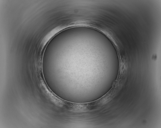 X0000115651101200911101534