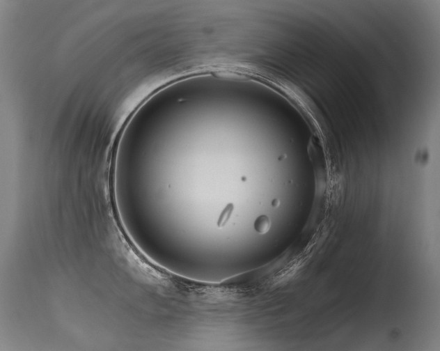 X0000115651102200911101534