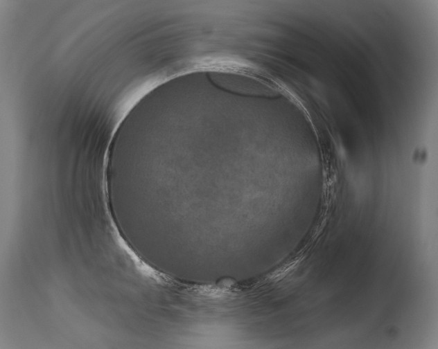 X0000115651103200911101534