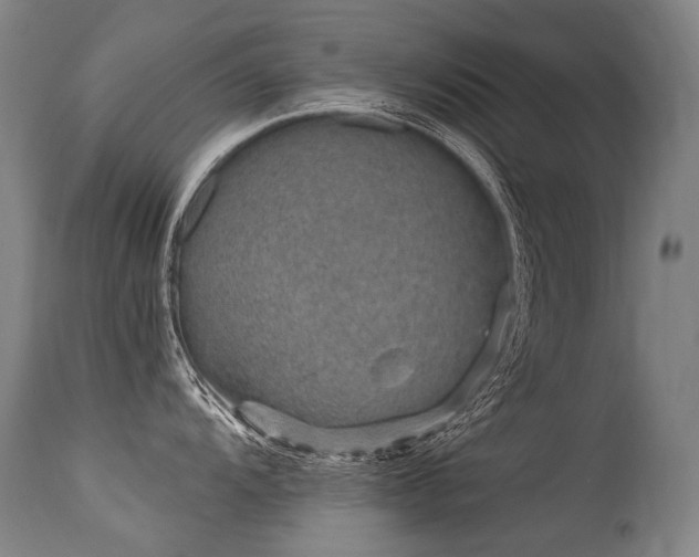 X0000115651104200911101534