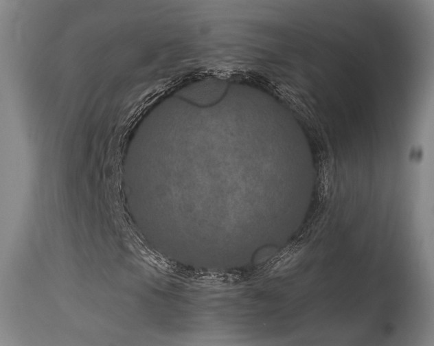 X0000115651105200911101533