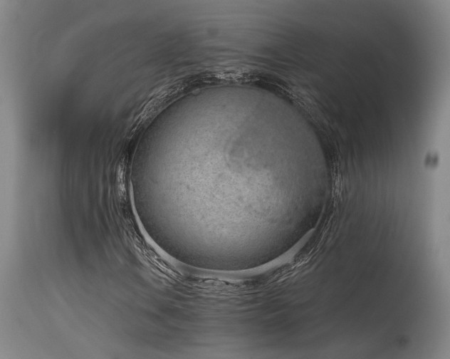 X0000115651106200911101533
