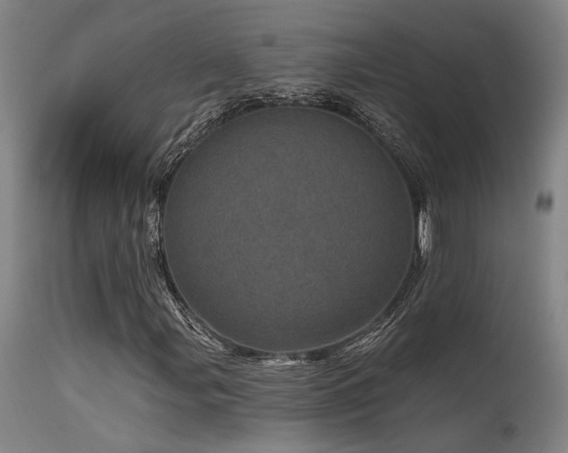 X0000115651107200911101533
