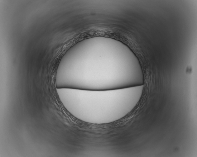 X0000115651109200911101533