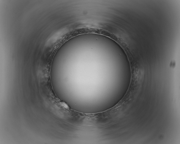 X0000115651110200911101533