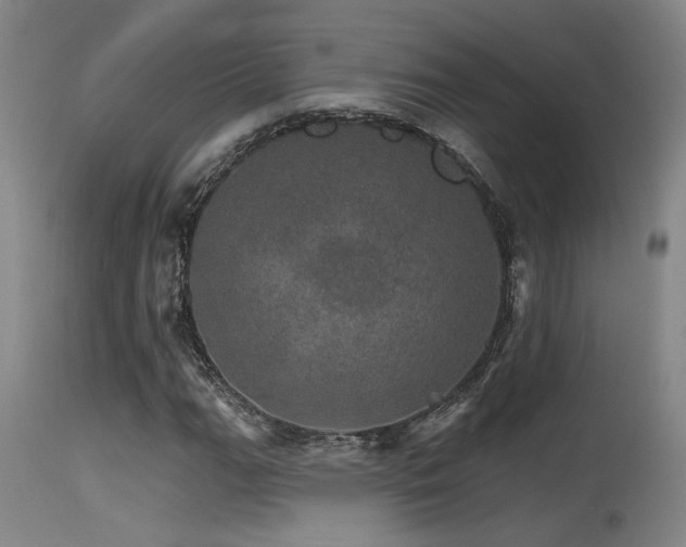 X0000115651111200911101533