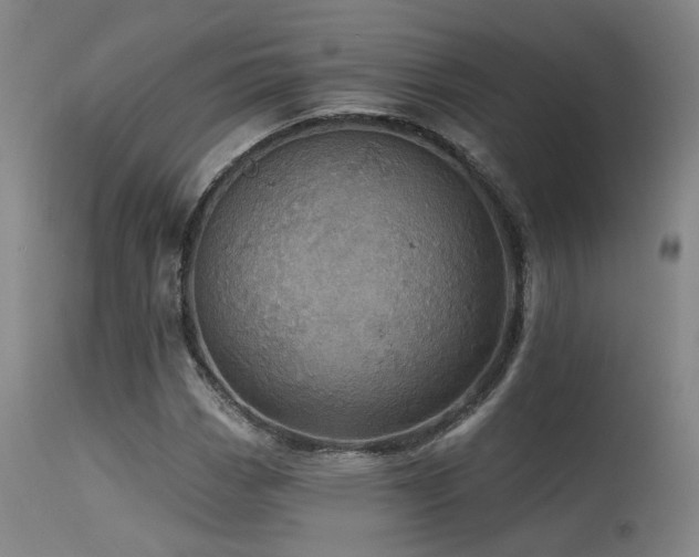 X0000115651113200911101533