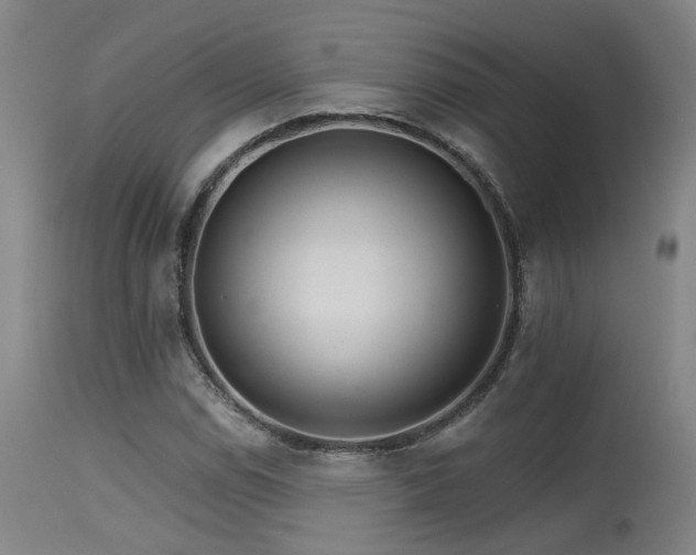 X0000115651114200911101533