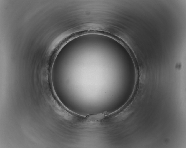 X0000115651115200911101533