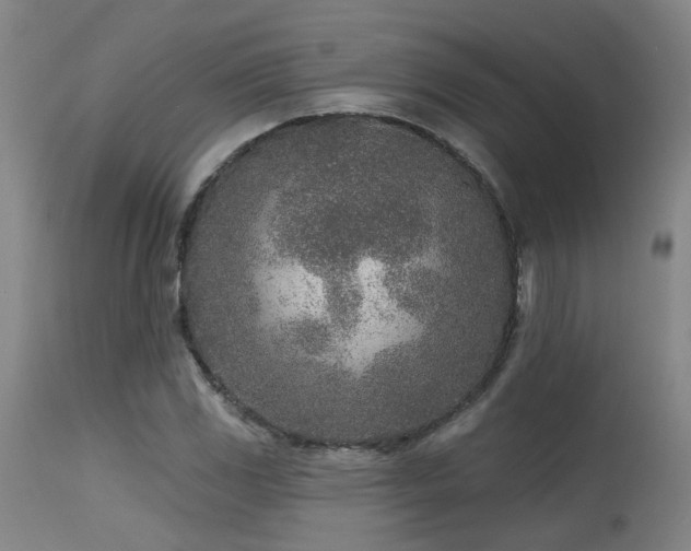 X0000115651117200911101533