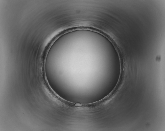 X0000115651118200911101533